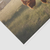 Rustikales Hühnerdekouapge 18 lbs Seidenpapier (Ausschnitt)