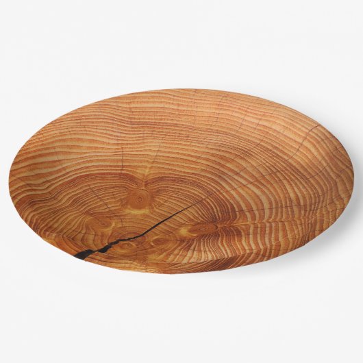 Rustikales Imitat-hölzernes Pappteller (Schrägansicht)
