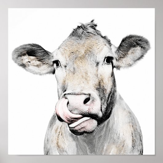 Rustikales Kuh Minimalistisch Modernes Landhaus Poster (Vorne)