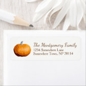 Rustikales Land Orange Fall Harvest Pumpkin (Insitu)