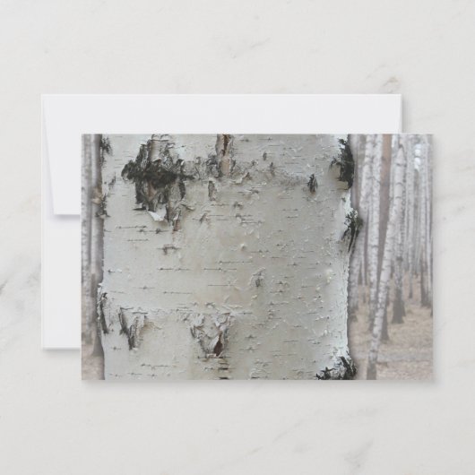 Rustikales Land Silver Birch Tree Wedding RSVP Karte (Rückseite)