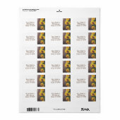 Rustikales Land Sonnenblumen auf Stallholz Adresse Adressaufkleber (Vorne)