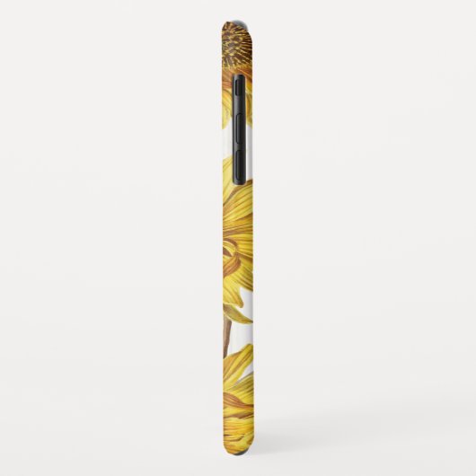 Rustikales Land-weißes Holz mit Case-Mate iPhone Hülle (Hinten/Links)