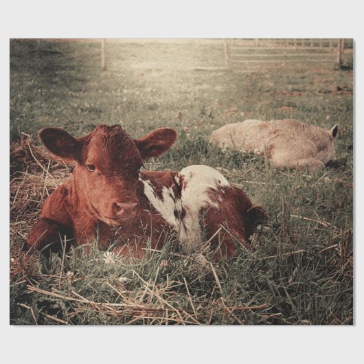 Rustikales Landhaus Geschenkpapier (Flach)