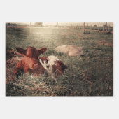 Rustikales Landhaus Geschenkpapier Set (Vorderseite)