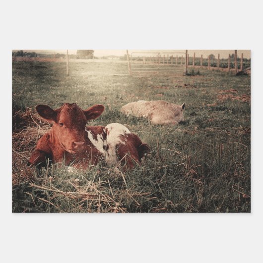 Rustikales Landhaus Geschenkpapier Set (Vorderseite)