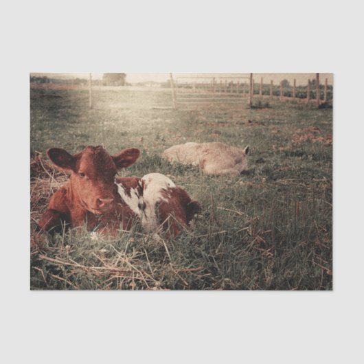 Rustikales Landhaus Seidenpapier (Vorderseite)