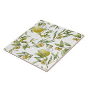 Rustikales Olivenölmuster Fliese (Seite)