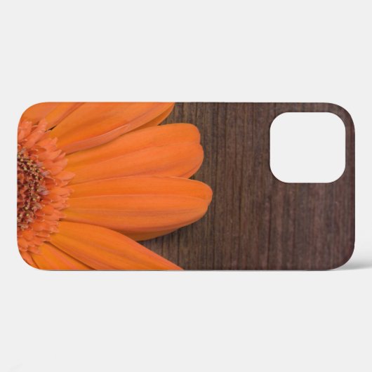 Rustikales Orange Daisy und Barnholz Case-Mate iPhone Hülle (Rückseite (Horizontal))