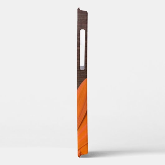 Rustikales Orange Daisy und Barnholz Case-Mate iPhone Hülle (Rückseite / Links)