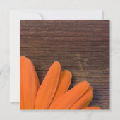 Rustikales Orange Daisy und Barnholz Probe Dinner Einladung (Rückseite)