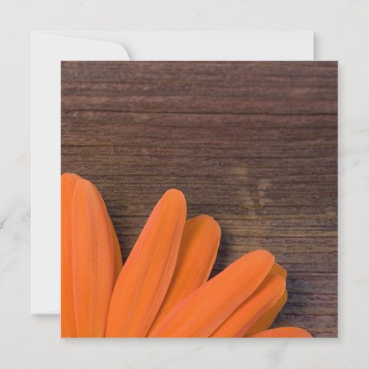 Rustikales Orange Daisy und Barnholz Probe Dinner Einladung (Rückseite)