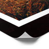 Rustikales Paw druckt Personalisiertes Pet-Memoria Poster (Ecke)