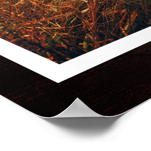 Rustikales Paw druckt Personalisiertes Pet-Memoria Poster (Ecke)