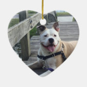 Rustikales PET-Gedächtnisgedächtnis-Foto Keramik Ornament (Hinten)