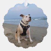 Rustikales PET-Gedenkfotos in liebevoller Erinneru Ornament Karte (Rückseite)