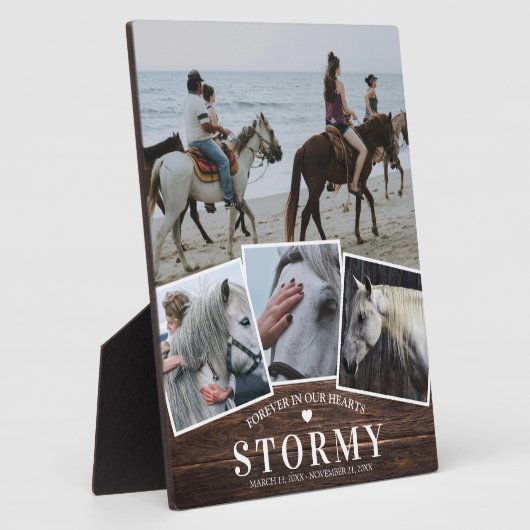 Rustikales Pferd 4 Foto Collage & Name Memorial Fotoplatte (Seite)