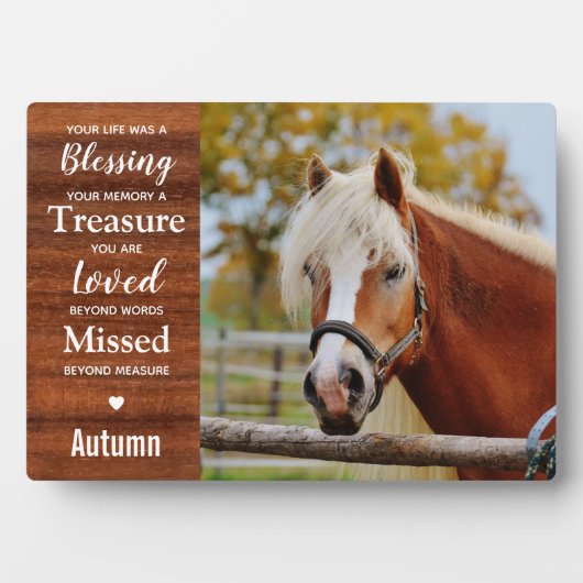 Rustikales Pferdegepäck Fotoplatte (Vorderseite)