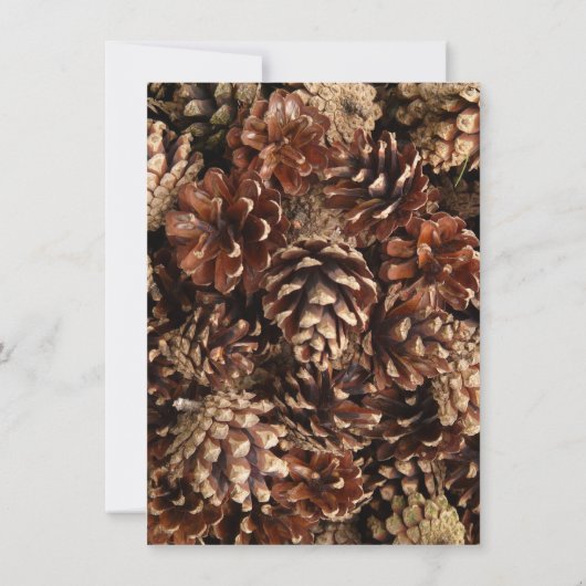 Rustikales Pine Cone Hochzeitsfest Einladung (Rückseite)