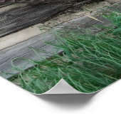 Rustikales Rad 16x20 Poster (Ecke)