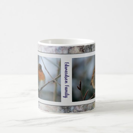 Rustikales Robin-Vogelmarmor-Muster Familienname Kaffeetasse (Mittel)