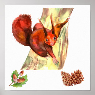 Rustikales Rot Eichhörnchen Eicheln Zirbenzapfen Poster