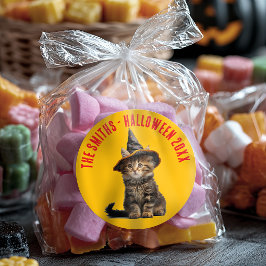 Rustikales Rot und Orange Kätzchen Halloween Runder Aufkleber