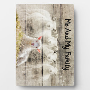 Rustikales Schafspuppel Fotoplatte