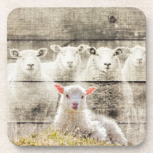 Rustikales Schafspuppel Getränkeuntersetzer (Vorderseite)