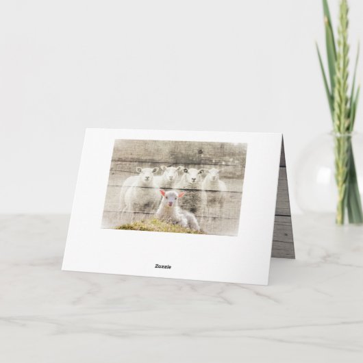 Rustikales Schafspuppel Karte (Rückseite)