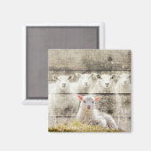 Rustikales Schafspuppel Magnet (Vorderseite/Rückseite)