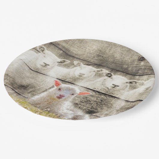 Rustikales Schafspuppel Pappteller (Schrägansicht)