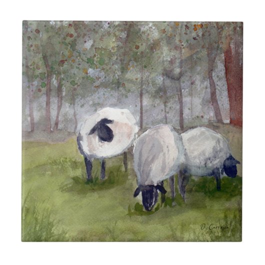 Rustikales Schafwasser Fliese (Vorderseite)