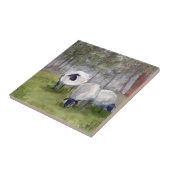 Rustikales Schafwasser Fliese (Seite)