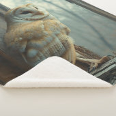Rustikales Schüssel in der Fensterkunst Sherpadecke (3/4)