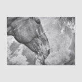 Rustikales Schwarz-Weiß-Dekor Seidenpapier (Vorderseite)