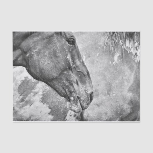 Rustikales Schwarz-Weiß-Dekor Seidenpapier (Vorderseite)