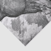 Rustikales Schwarz-Weiß-Dekor Seidenpapier (Ausschnitt)