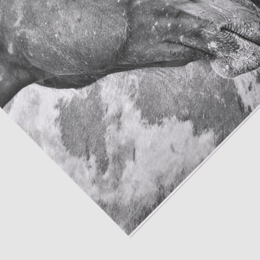 Rustikales Schwarz-Weiß-Dekor Seidenpapier (Ausschnitt)