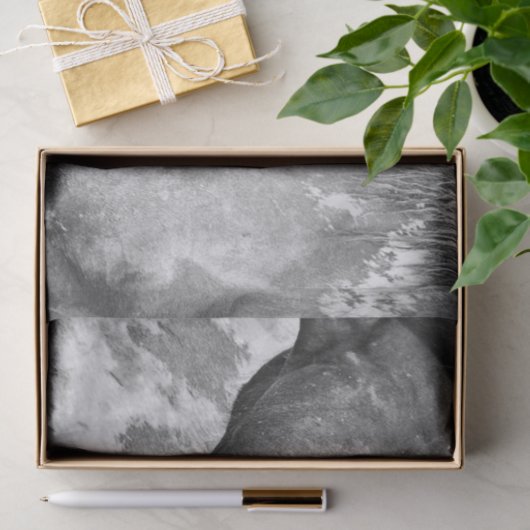 Rustikales Schwarz-Weiß-Dekor Seidenpapier (Geschenk)