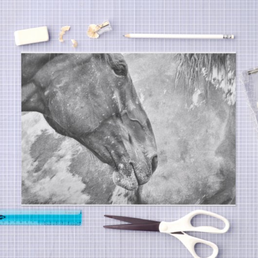 Rustikales Schwarz-Weiß-Dekor Seidenpapier (Handwerk)