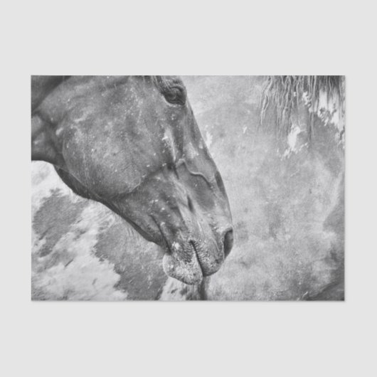 Rustikales Schwarz-Weiß-Dekor Seidenpapier (Vorderseite)