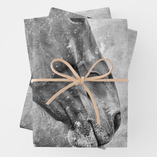 Rustikales Schwarz-Weiß-Dekoupage Geschenkpapier Set (Beispiel)