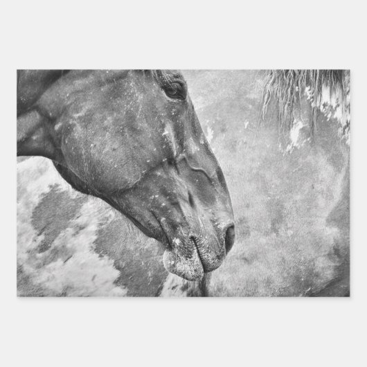 Rustikales Schwarz-Weiß-Dekoupage Geschenkpapier Set (Vorderseite)