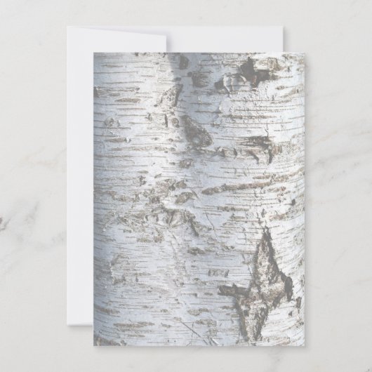 Rustikales Silver Birch Tree Baby Dusche Bingo Einladung (Rückseite)