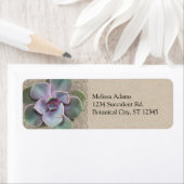 Rustikales sukkulentes Hochzeitsplatz (Insitu)