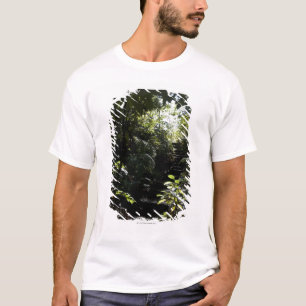 Rustikales Treppenhaus/Fußweg im Wald, Sonnenlich T-Shirt