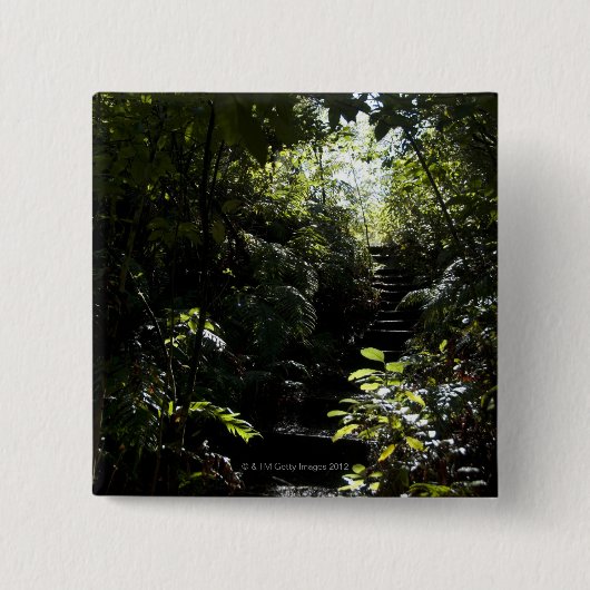 Rustikales Treppenhaus/Fußweg im Wald, Sonnenlicht Button (Vorderseite)