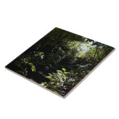 Rustikales Treppenhaus/Fußweg im Wald, Sonnenlicht Fliese (Seite)