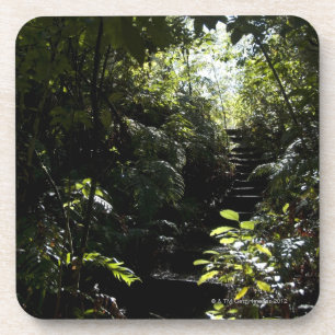 Rustikales Treppenhaus/Fußweg im Wald, Sonnenlicht Getränkeuntersetzer